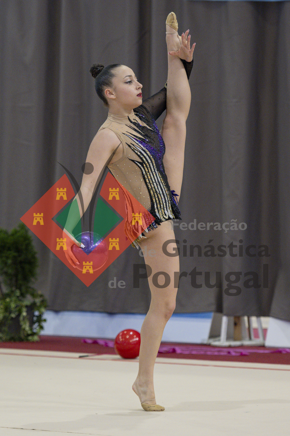 1694_Campeonato Nacional 2ª Divisão GR